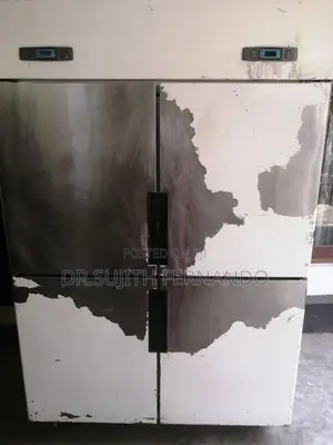 4 Door Freezer