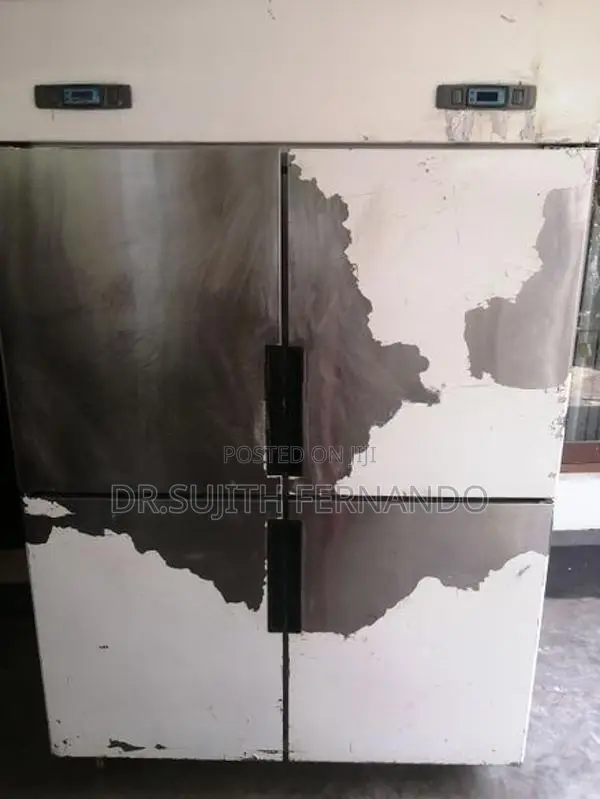 4 Door Freezer