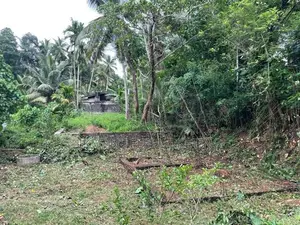 Land for Sale in Meegoda