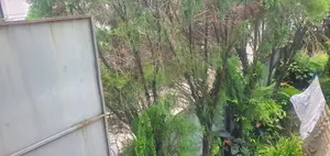 17.5 Perches of Land for Sale in Colombo 05 Narahenpita