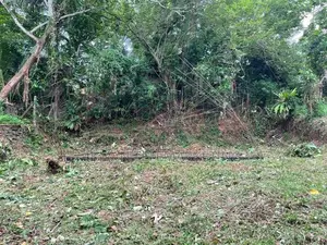 Land for Sale in Meegoda