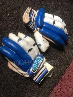 Cricket Set