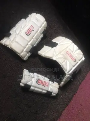 Cricket Set