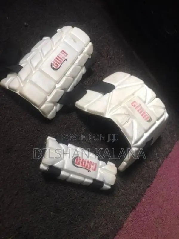 Cricket Set