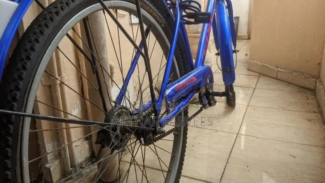 Tomahawk Bicycle