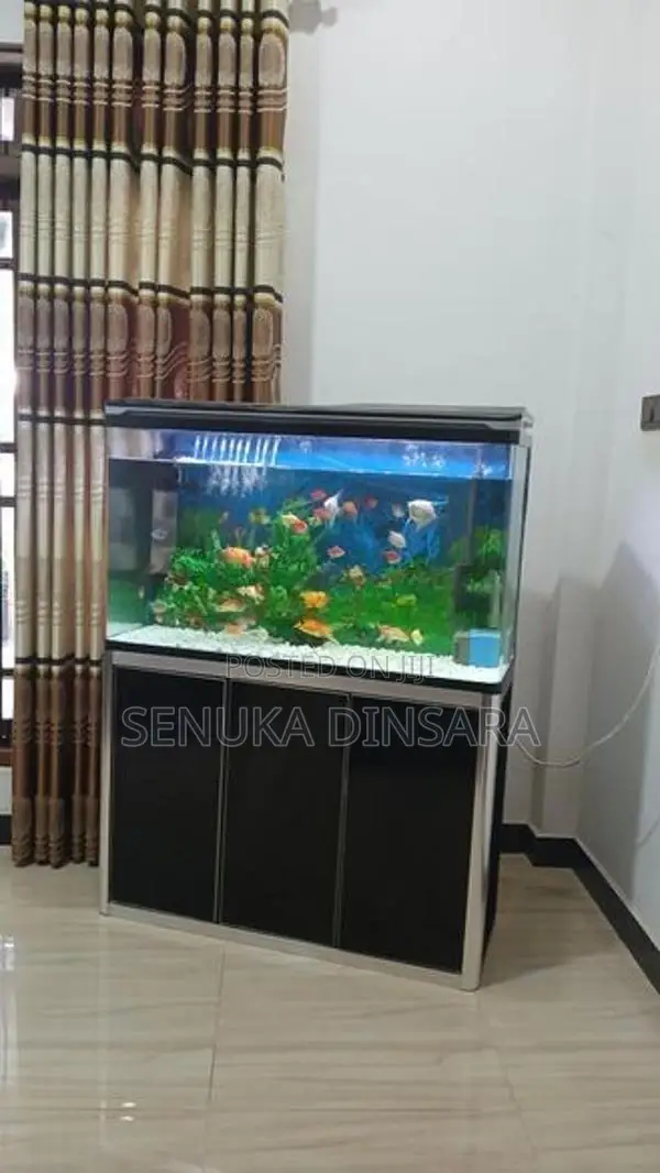 Important Fish Tank