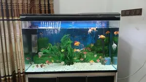 Important Fish Tank