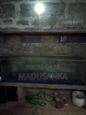 Fish Tanks