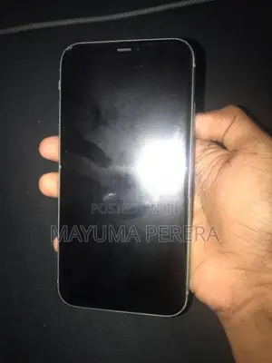 Apple iPhone 11 (Used)