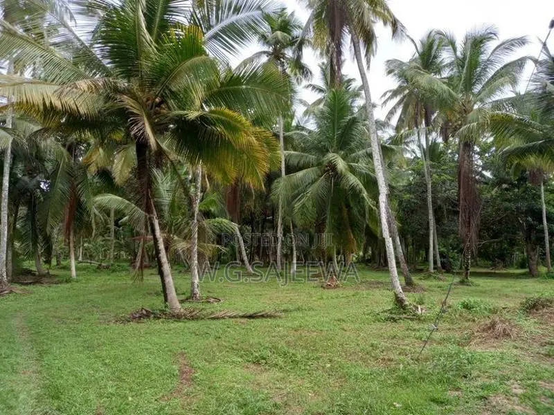 Land Sale Minuwangoda