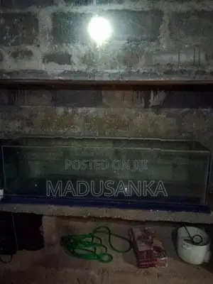 Fish Tanks