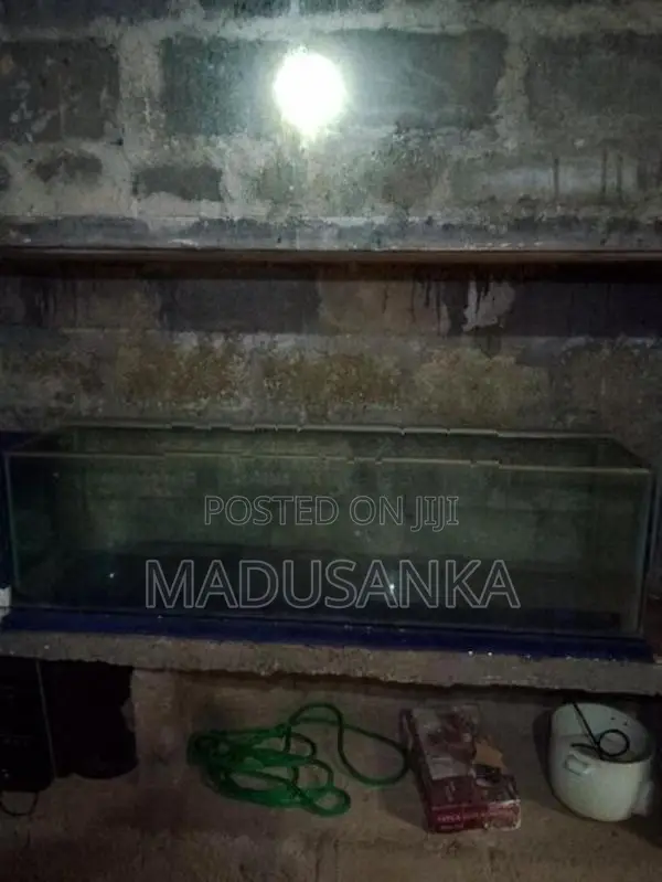Fish Tanks