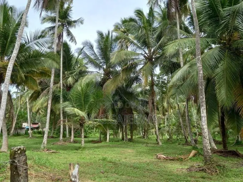 Land Sale Minuwangoda