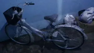 Bicycle Tomahawk