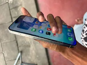 Apple iPhone 15 Pro Max (Used)