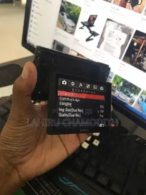 Sony DSC-RX100iv Camera