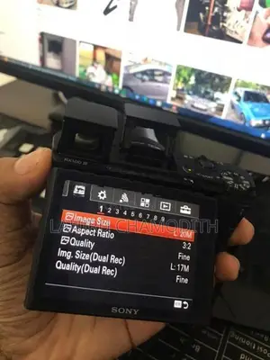 Sony DSC-RX100iv Camera