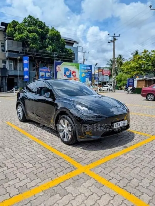 Tesla Model Y 2024