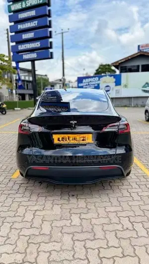 Tesla Model Y 2024