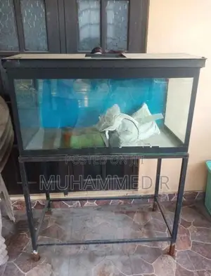 Fish Tank With Stand