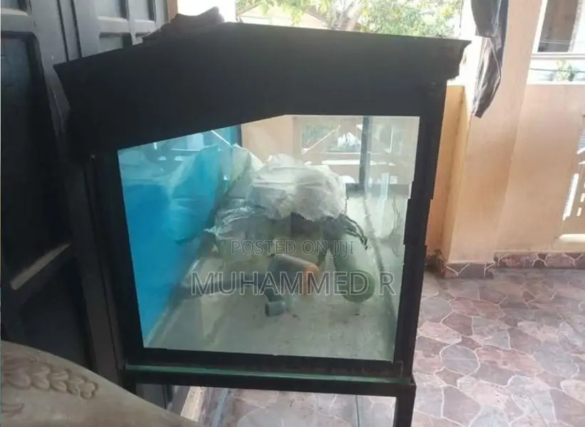 Fish Tank With Stand