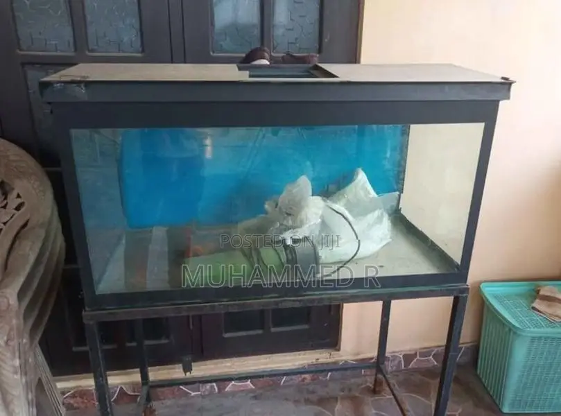Fish Tank With Stand