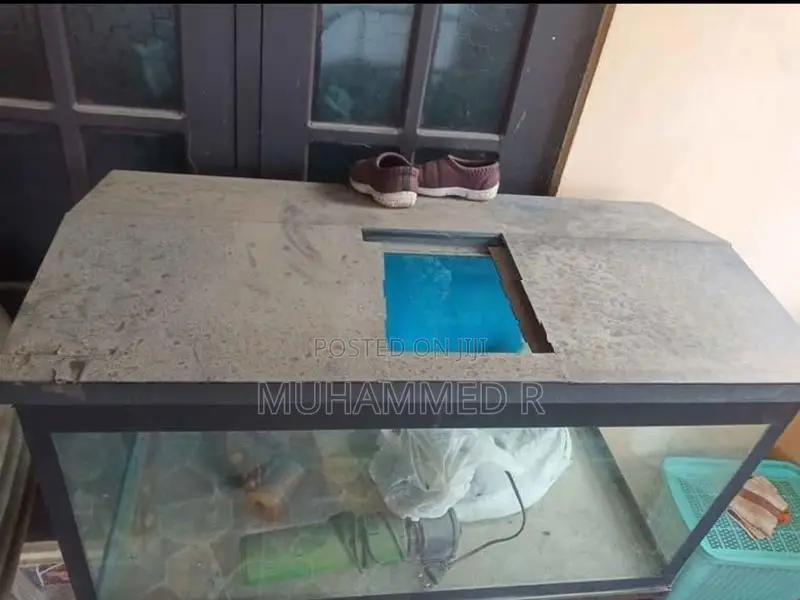 Fish Tank With Stand