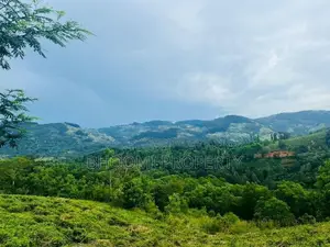 best land for sale in