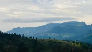 best land for sale in
