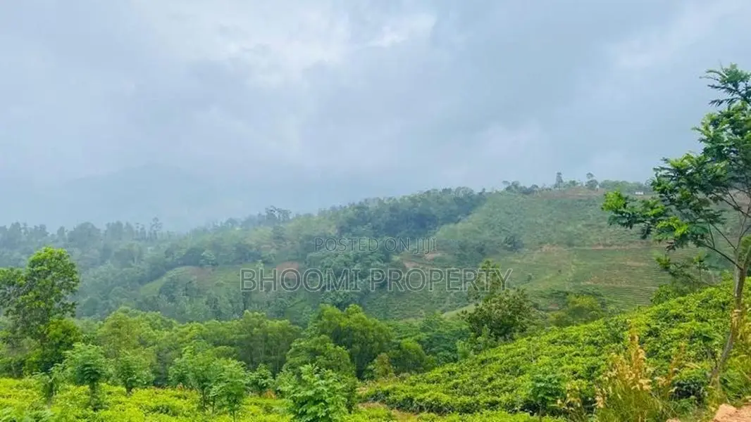 best land for sale in