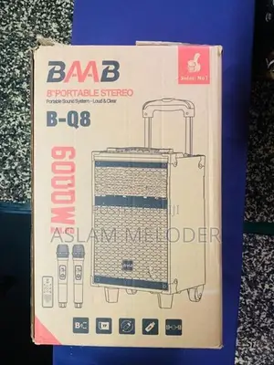 8"portable Stereo