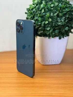Apple iPhone 12 Pro Max (Used)