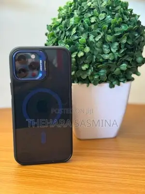 Apple iPhone 12 Pro Max (Used)