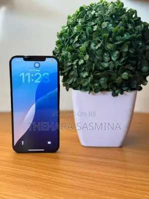 Apple iPhone 12 Pro Max (Used)