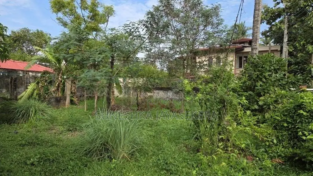 Land for Sale in Kelaniya