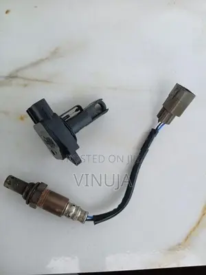 Air flow sensor and Oxygen