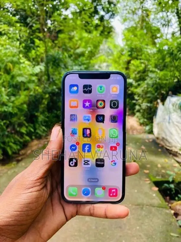 Apple iPhone 12 (Used)