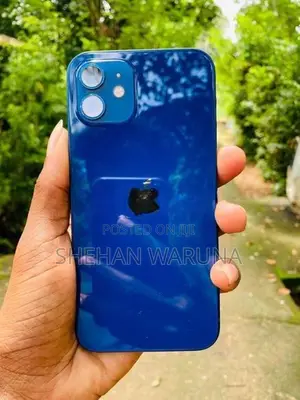Apple iPhone 12 (Used)
