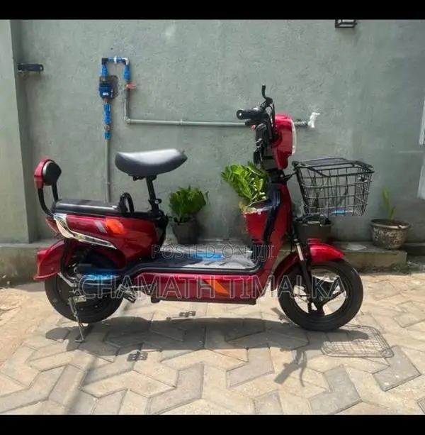 E Bike 2024