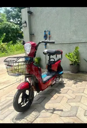 E Bike 2024