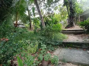 Land with House for Sale in Mabola