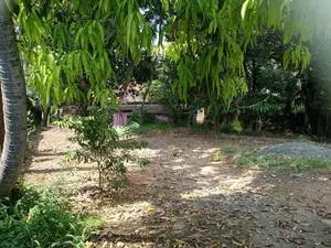 Land with House for Sale in Mabola