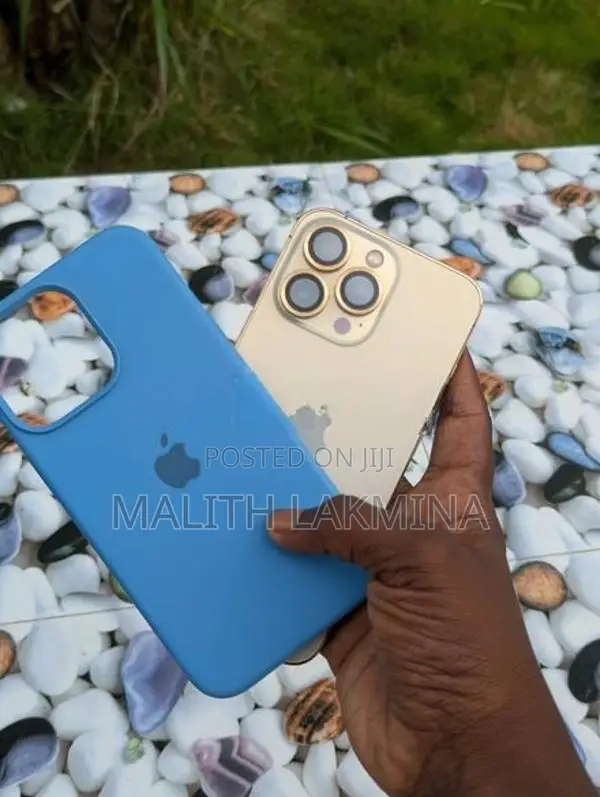 Apple iPhone 13 Pro (Used)