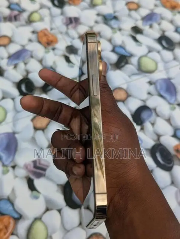 Apple iPhone 13 Pro (Used)