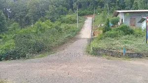 නෙලුන්දෙනිය නගරයෙන් ඉඩමක් විකිනීමට