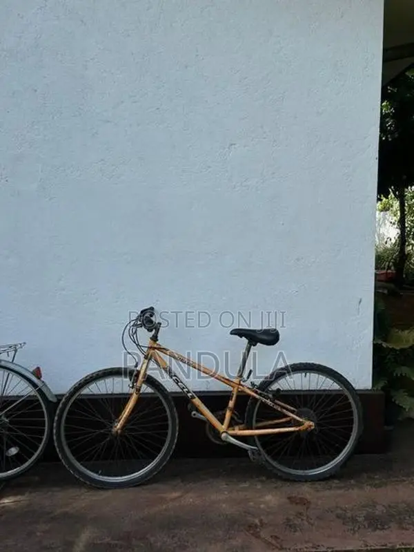 Mountain Bicycle