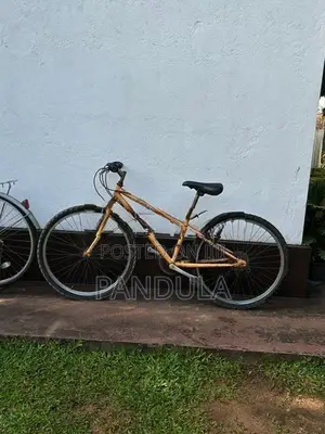 Mountain Bicycle