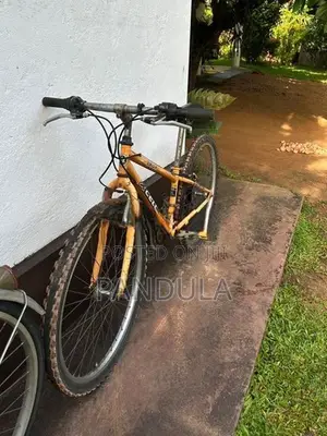 Mountain Bicycle