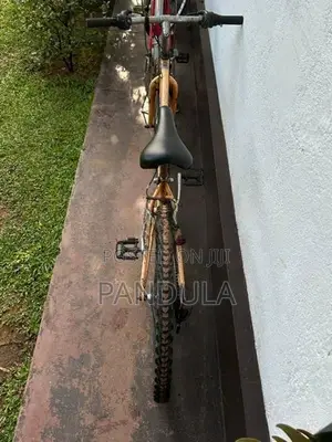 Mountain Bicycle