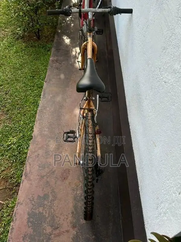 Mountain Bicycle